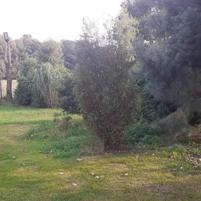 Agroturystyka Leśne Zacisze